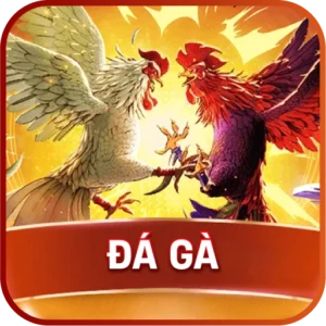 Đá Gà 33win - Xem trực tiếp sắc nét